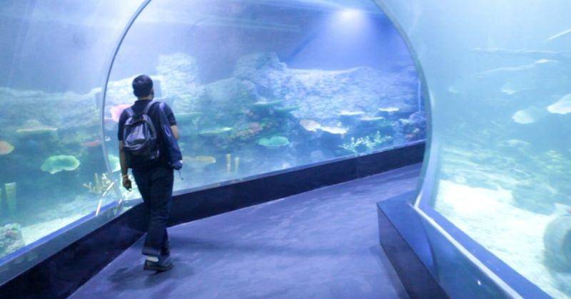 Popmama.com/Rayhan Fairuz